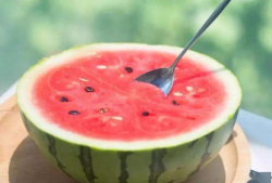 吃瓜网官网免费观看,热门剧集一网打尽！